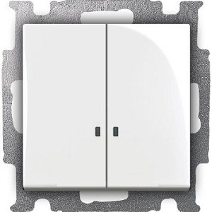 Выключатель с клавишей, 2-клавишный, с подсветкой, Basic 55, альпийский белый